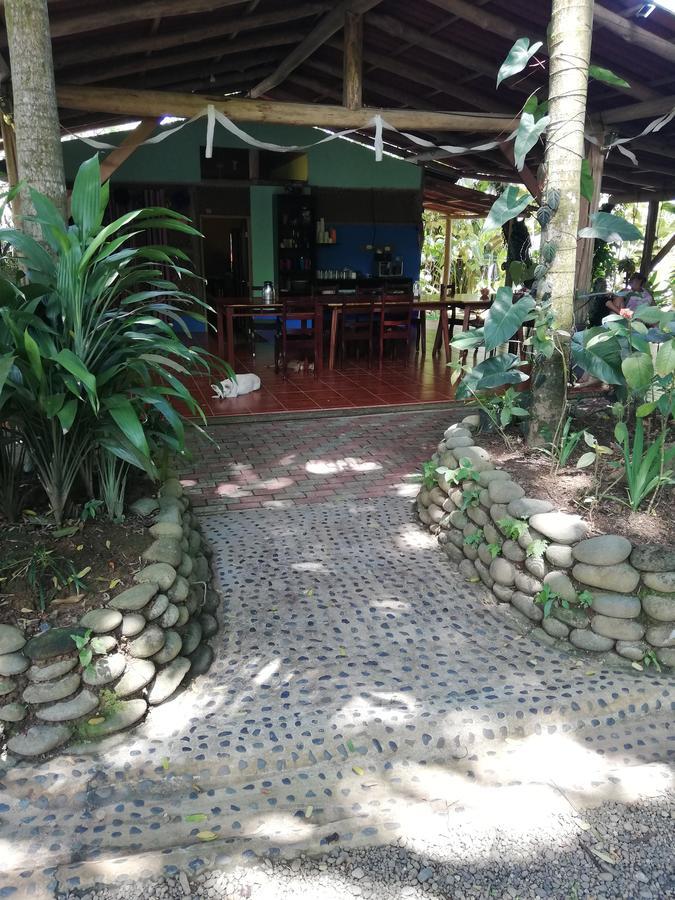 Hospedaje El Bosquecito Uvita Exterior foto